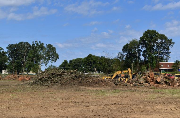 Events Center Trees.jpg