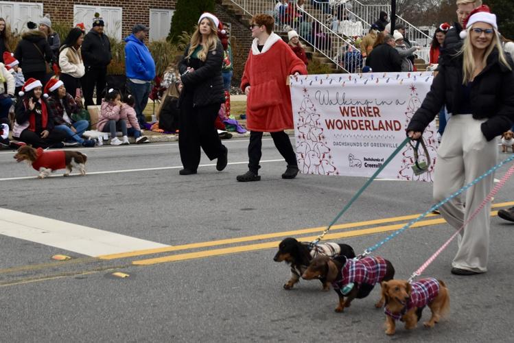 Greer Relief Christmas Parade - Dogs.jpg