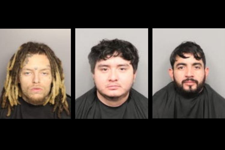 ARRESTS - 1