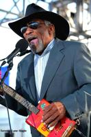 Blues legend Mac Arnold comes to Greer City Park Saturday