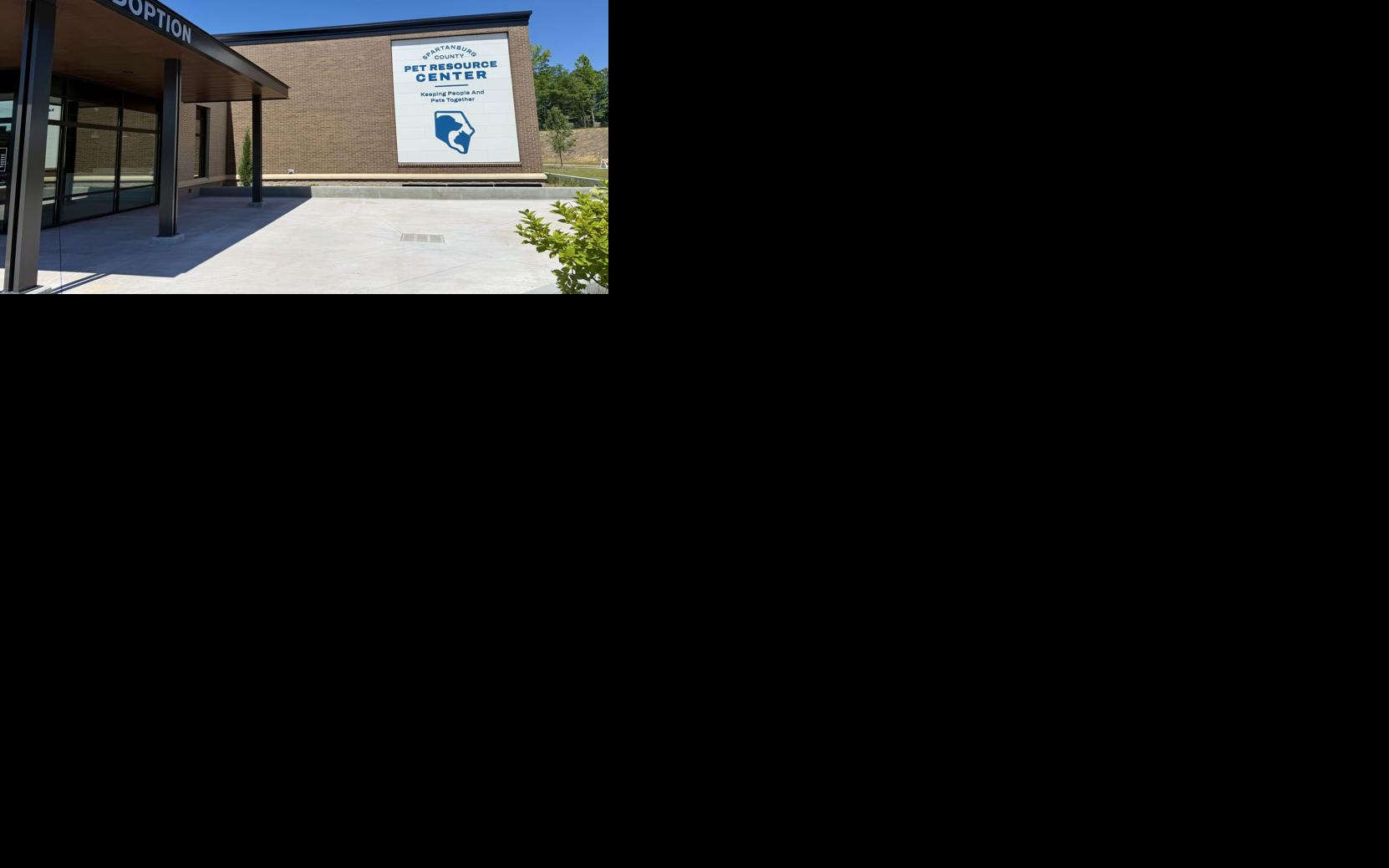 Asset-image