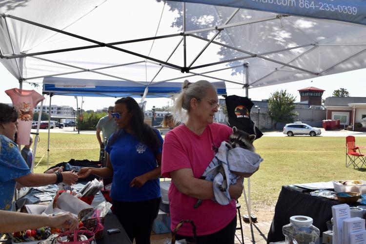 Artisan Makers Market - Racoon.jpg