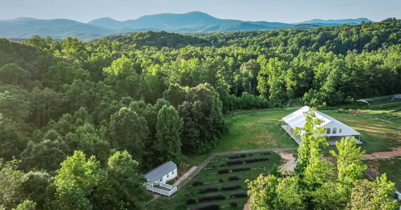 South Carolina entrepreneurs awarded $215,000 for innovative agribusinesses