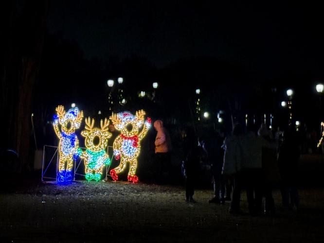 Tree Lighting Prop.jpg