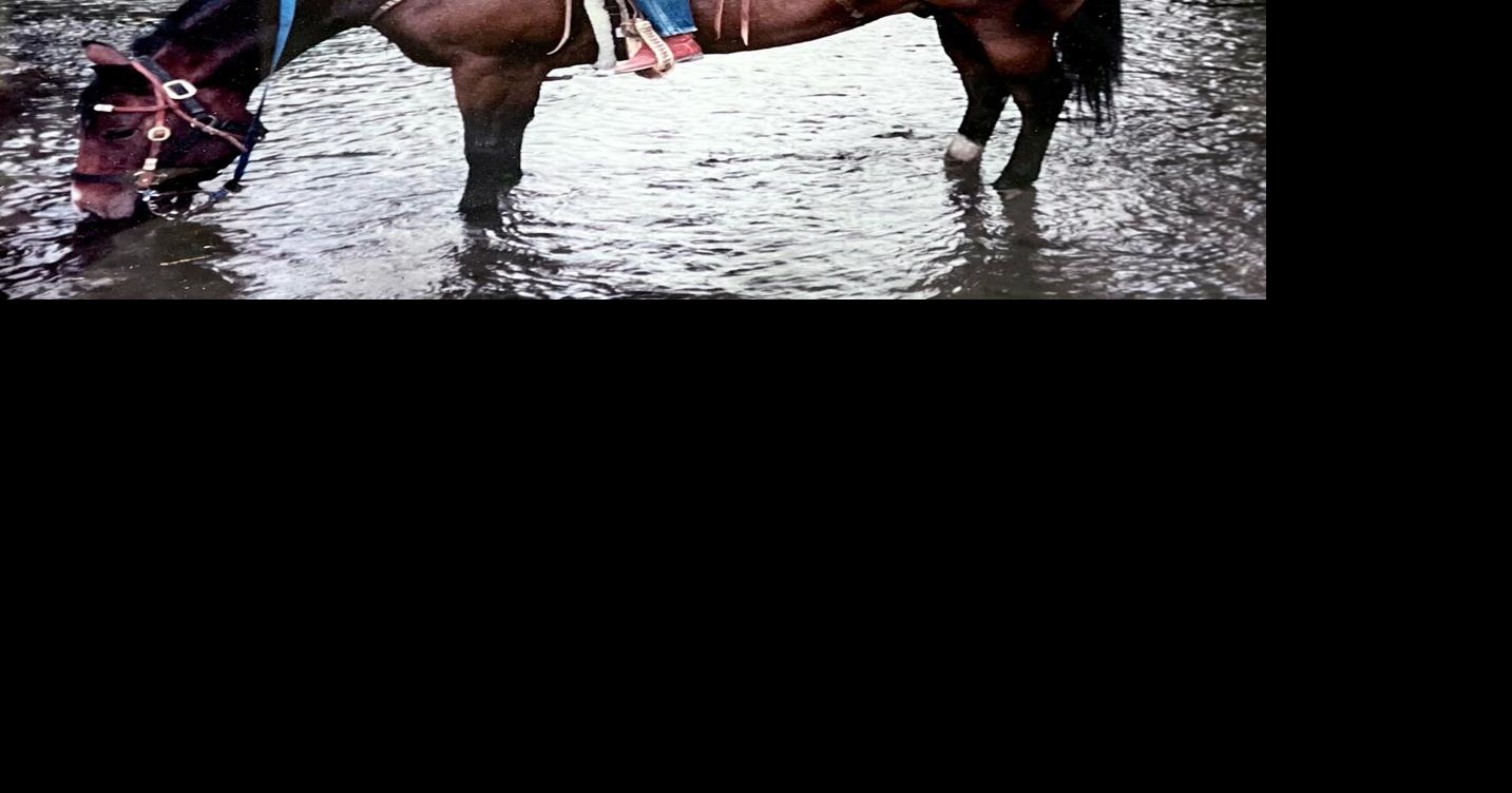 Donna Maureen (Liddicoat) Rolfe Obituaries