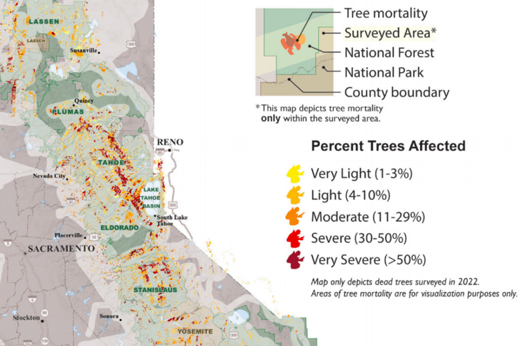 Aerial survey estimates 36M trees died in 2022 News