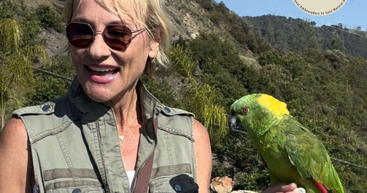 Fall Flights and the world celebrates animals