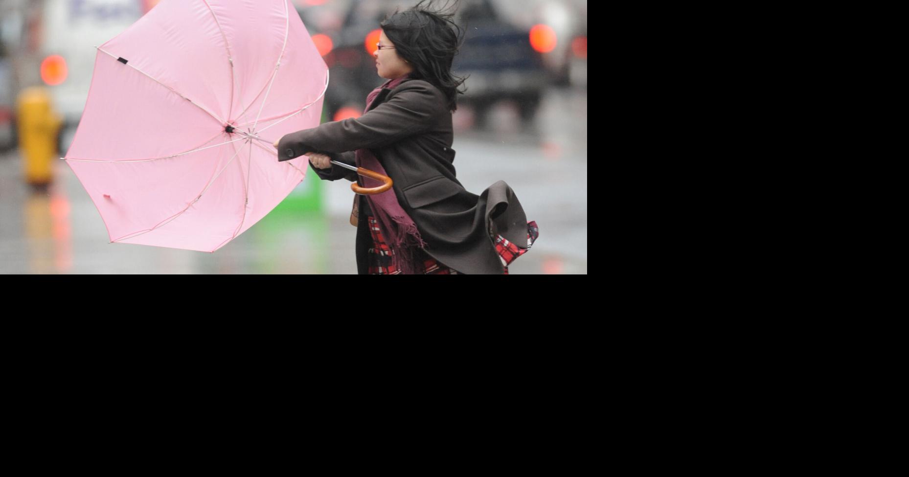 Special weather statement: Heavy rain, strong winds forecast for Guelph ...