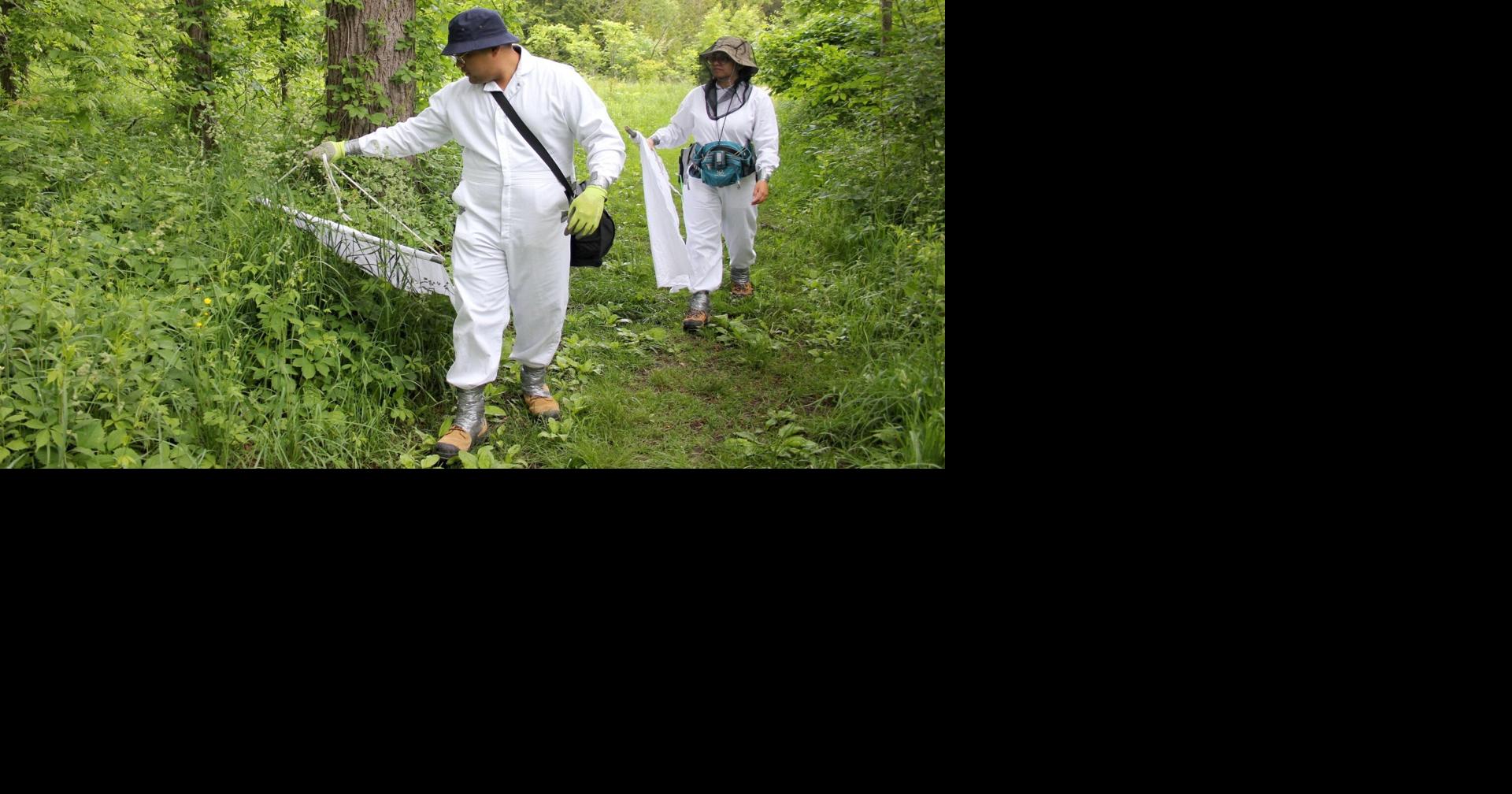 Deer Ticks Showing Up In Guelph Wellington Area Guelph Mercury Tribune