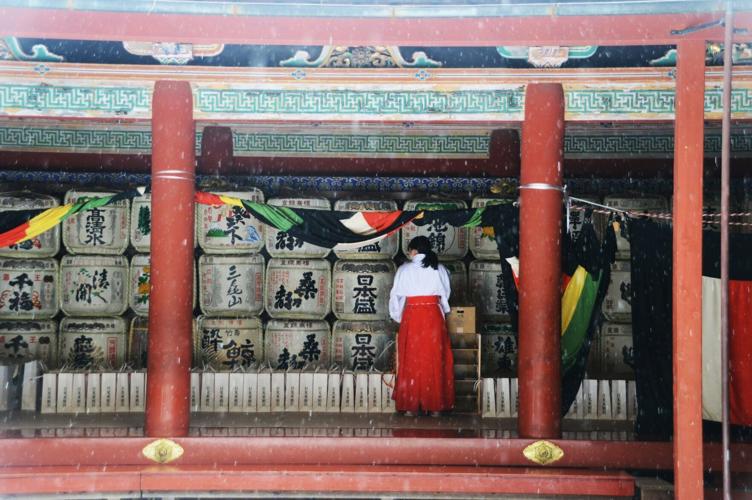 Nikko CREDIT Denise Metz Unsplash.jpg