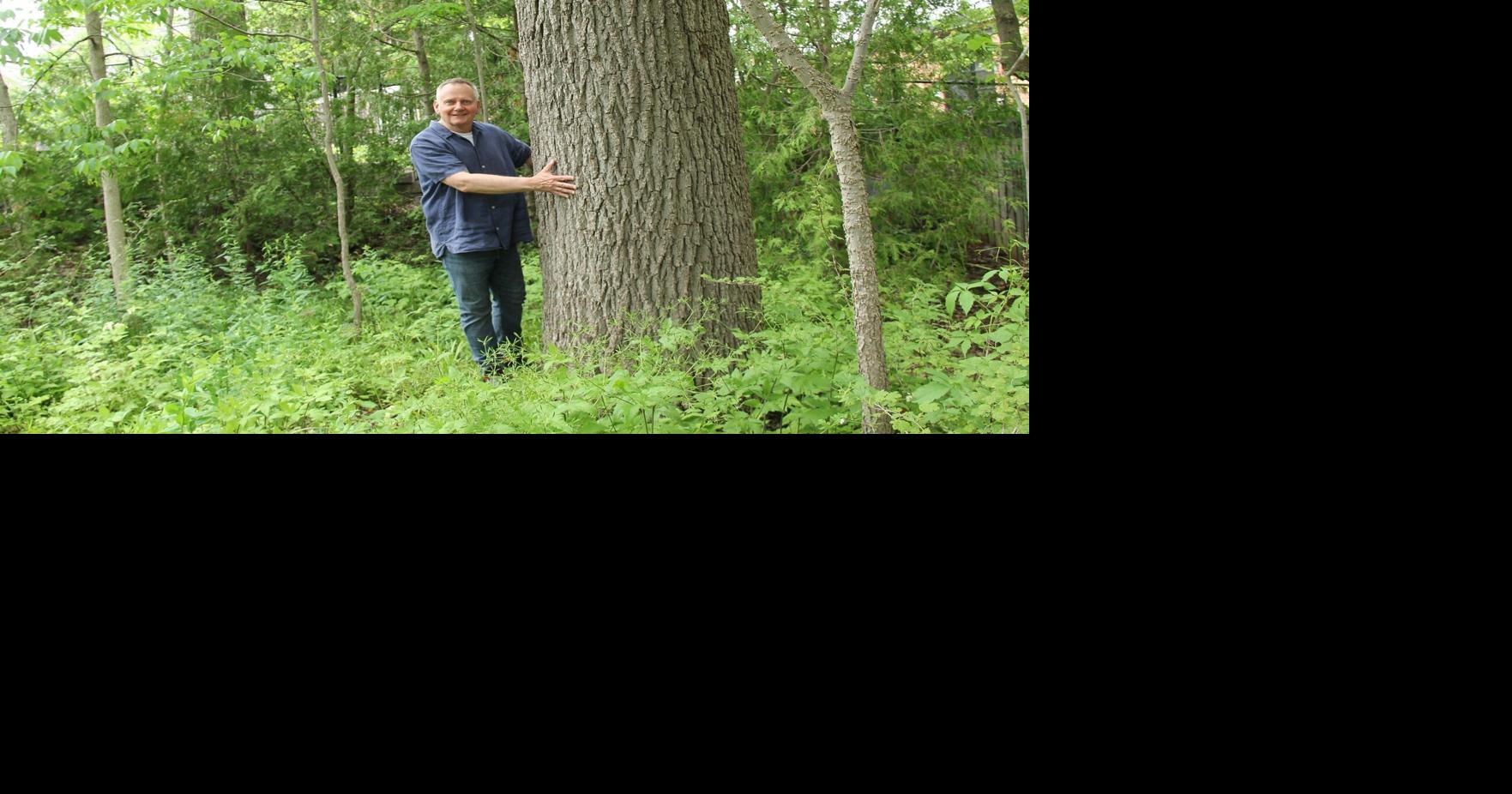 How does your garden grow? Tour the Guelph Garden Showcase and learn from local enthusiasts