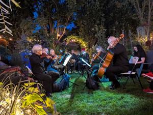 Pop Up Orchestra Festival brings engaging concerts to Guelph spaces