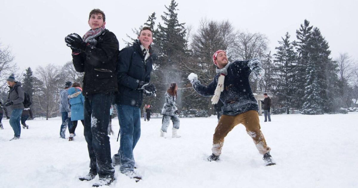 University of Guelph students plan for world’s largest snowball fight ...
