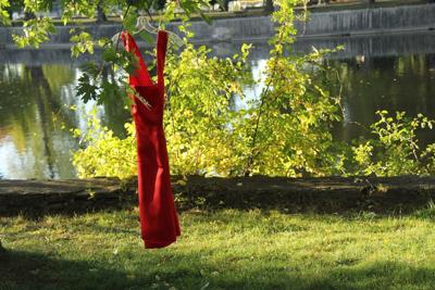 Red dress hangs in park