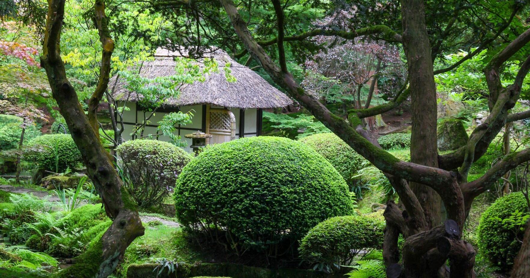 David Hobson on Japanese gardens and a lost chance to visit - Vimarsana News