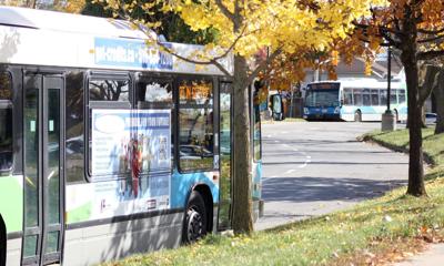 Two Ƶapp Transit buses at stops along a tree-lined city street