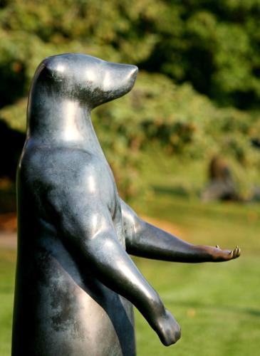 Begging Bear portrait