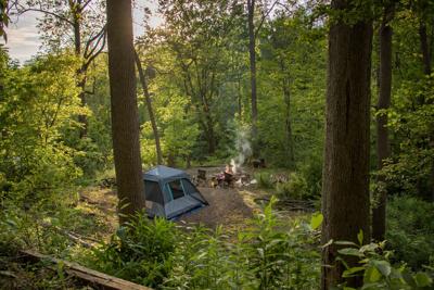 Forest camping