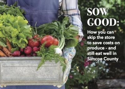 A person holding a container of vegetables with the words Sow Good: how you can skip the store to save costs on produce - and still eat well in Simcoe County
