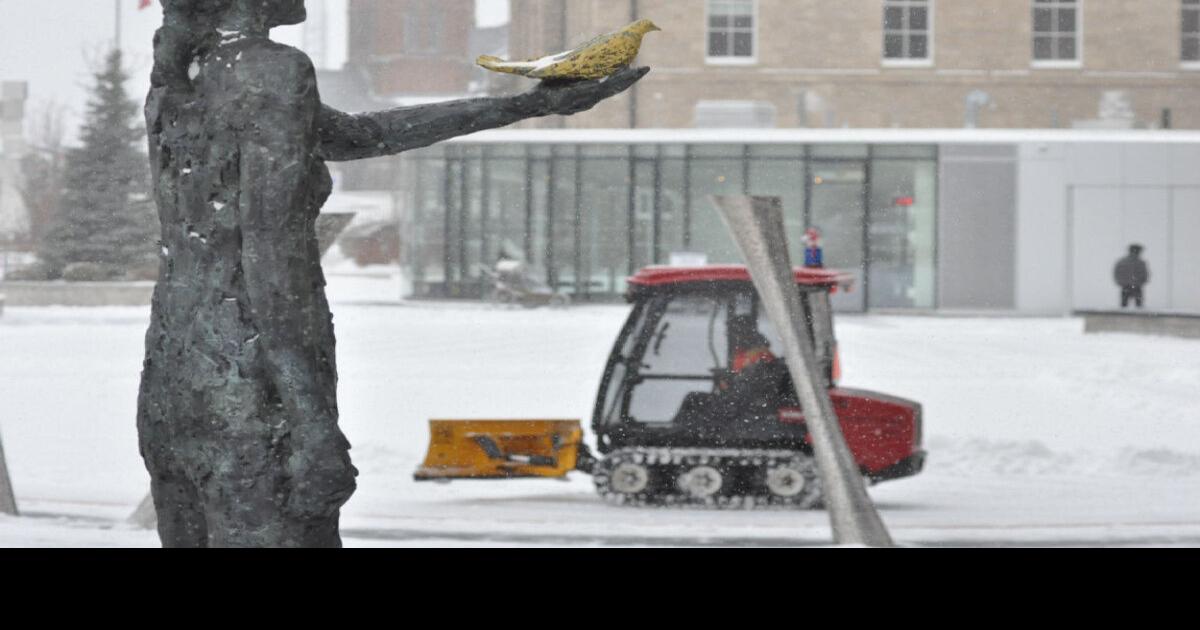 City of Guelph snow removal crews at ‘capacity,’ new report states
