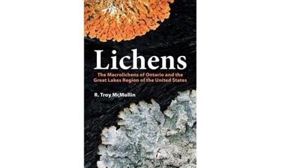 EMMA:Lichens2.JPG