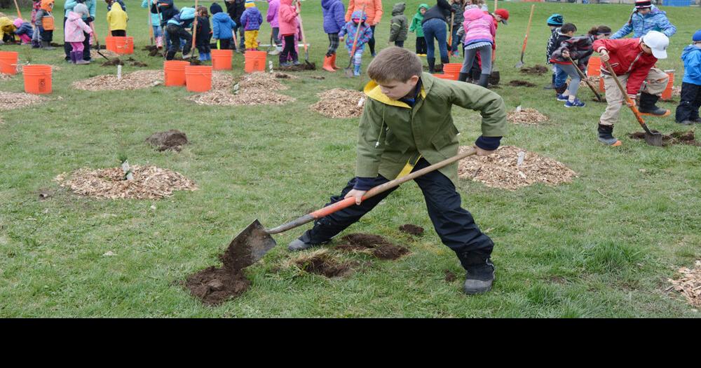 Trees for Guelph launches special project in honour of Canada's 150th