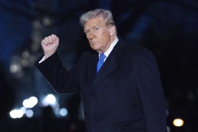 Donald Trump factbox.JPG