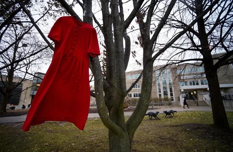 Red dress in tree