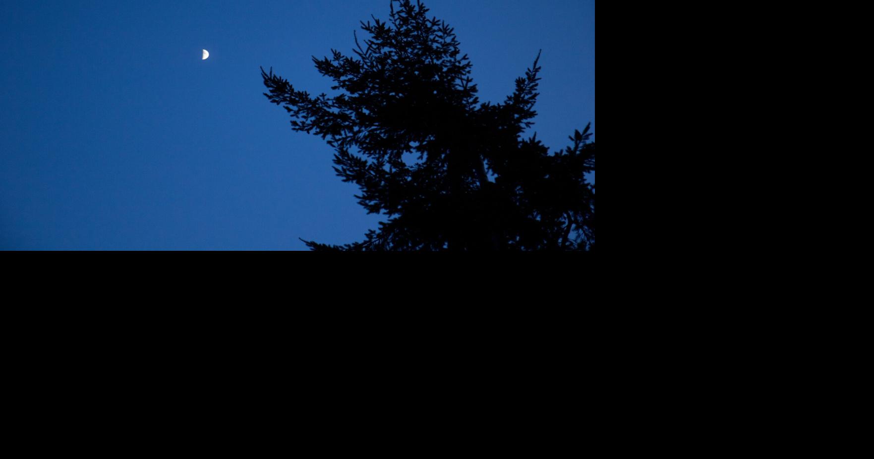 guelph-to-look-into-dark-sky-bylaw-for-city-s-night-skies