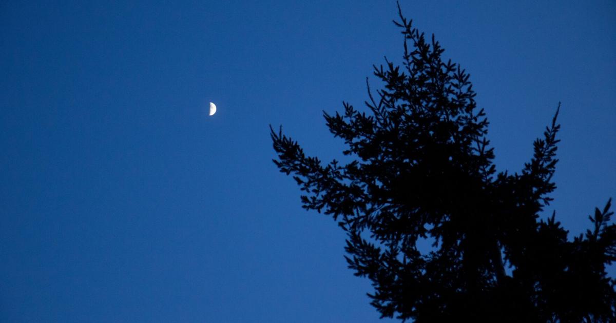 Guelph To Look Into Dark Sky Bylaw For City s Night Skies guelph-to-look-into-dark-sky-bylaw-for-city-s-night-skies