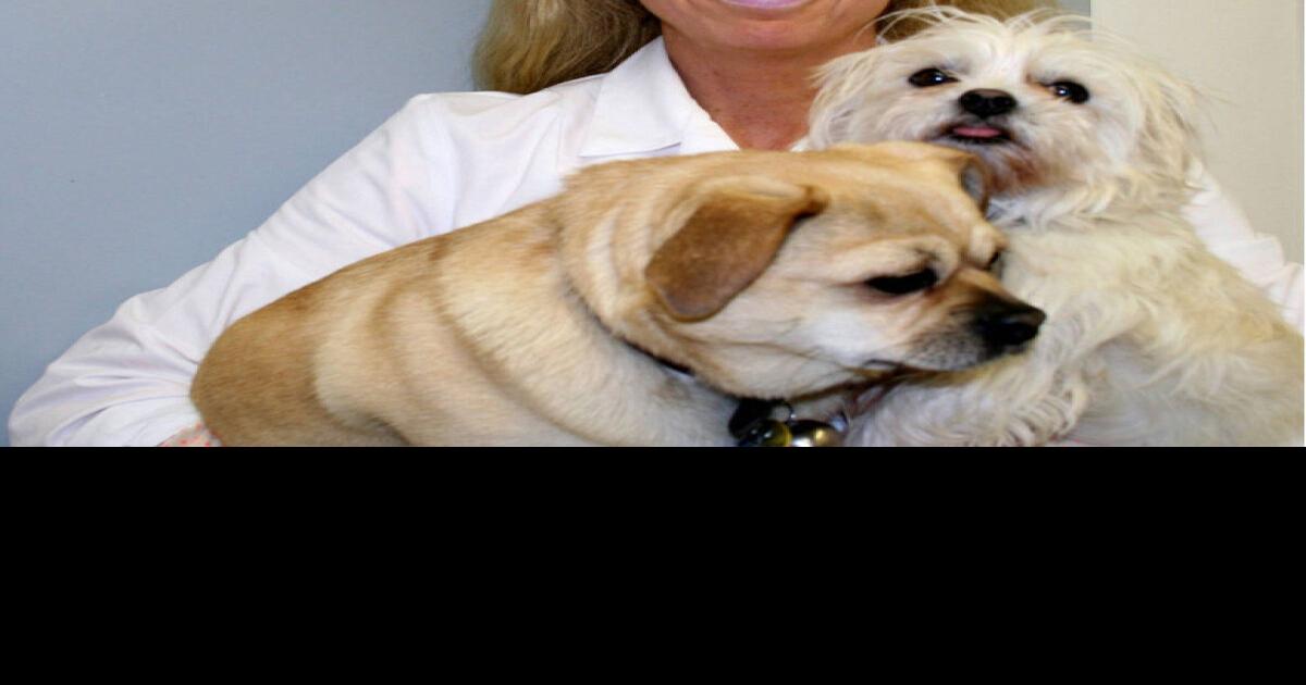 Guelph clinic reaches out to pet owners who can’t afford vet care