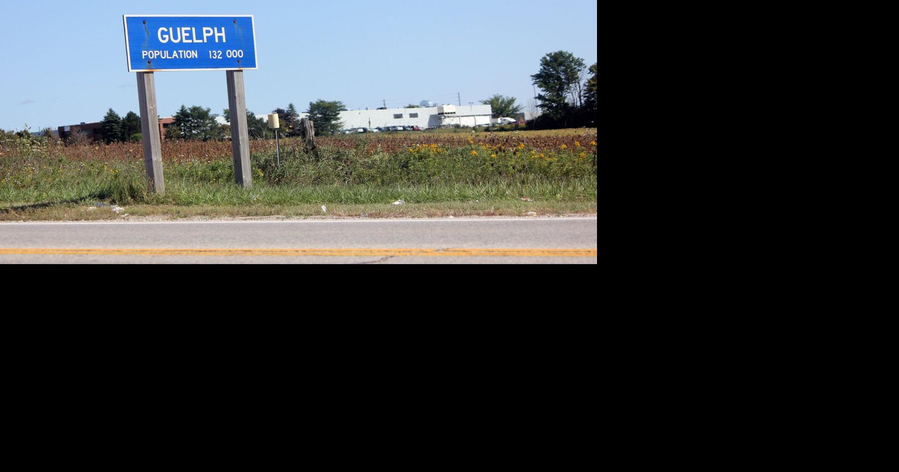 Meet the candidates in Guelph's Ward 4