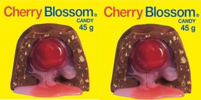 Cherry Blossom