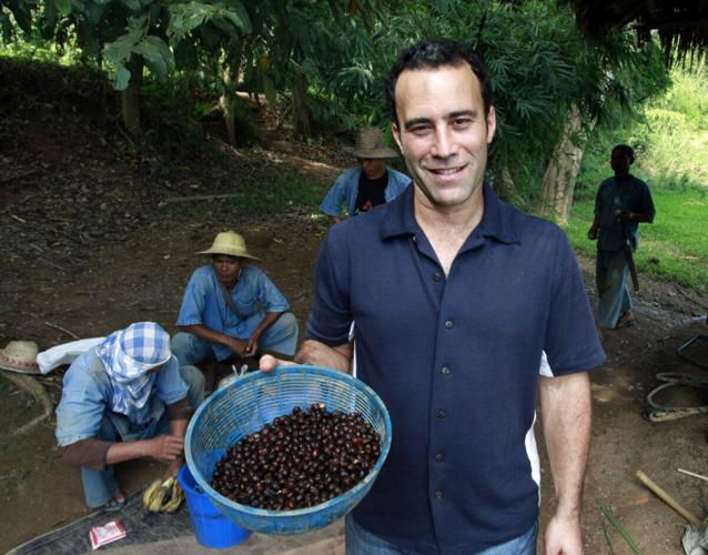 Elephant dung coffee one of world's most expensive at $50 a cup