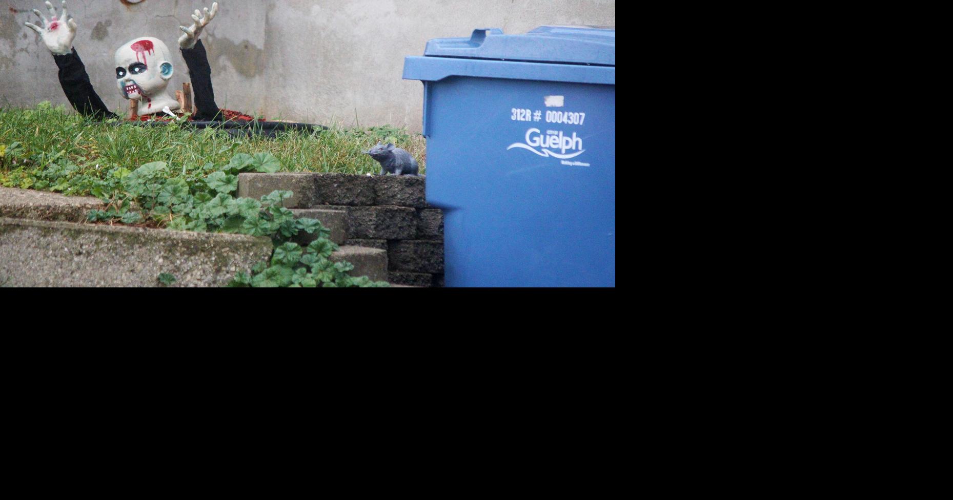 Halloween scream Where are the bestdressed Guelph homes during October’s spooky season?