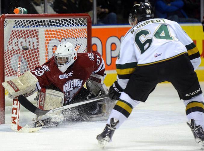 London Knights ready for new start, and chance to avenge Guelph Storm  collapse