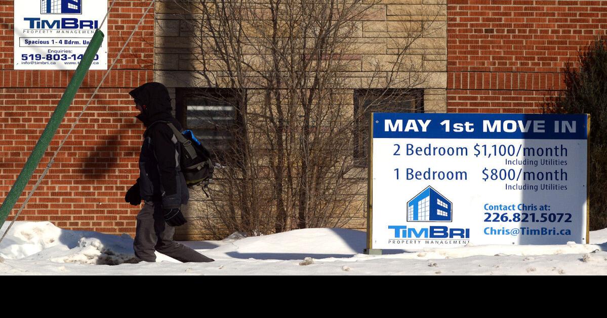 Rise of purposebuilt student residences in Guelph set to shake up the