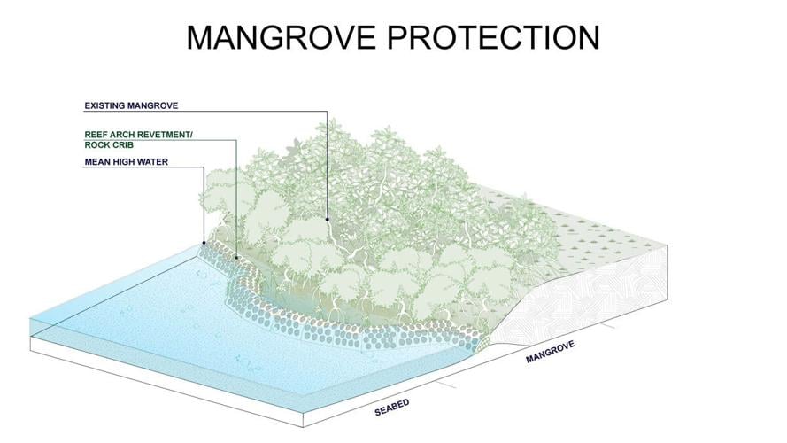 Mangrove protection adds a natural coastal defense