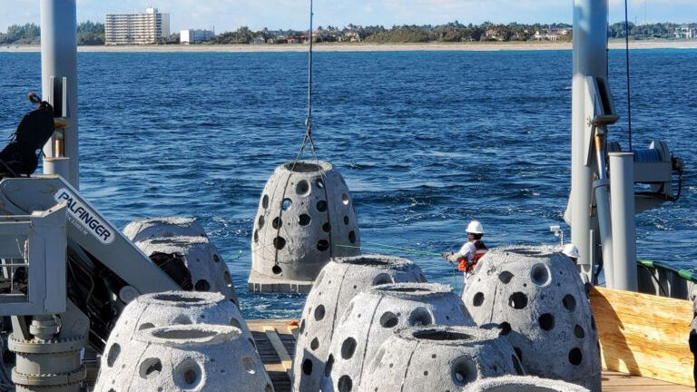 Reef modules deployed to create marine habitat