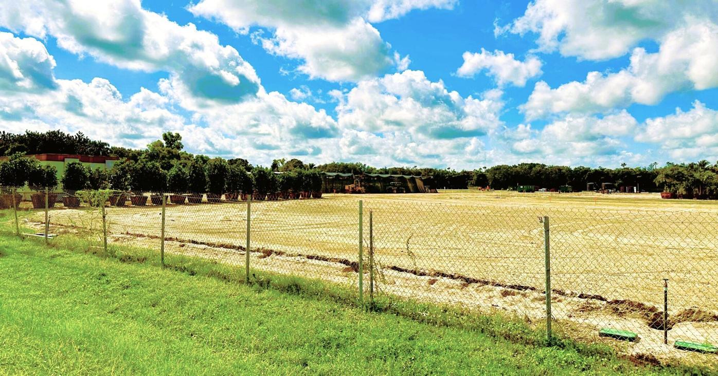 Nursery and Stock Dealer Registration / Plants and Nurseries / Agriculture  Industry / Home - Florida Department of Agriculture \u0026 Consumer Services, image size:1396x732