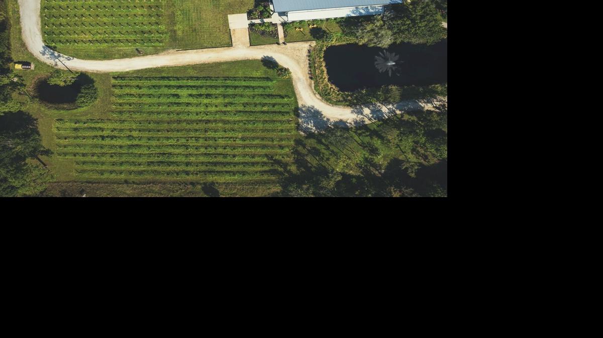 RAD Winery Estero