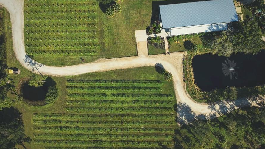 RAD Winery Estero
