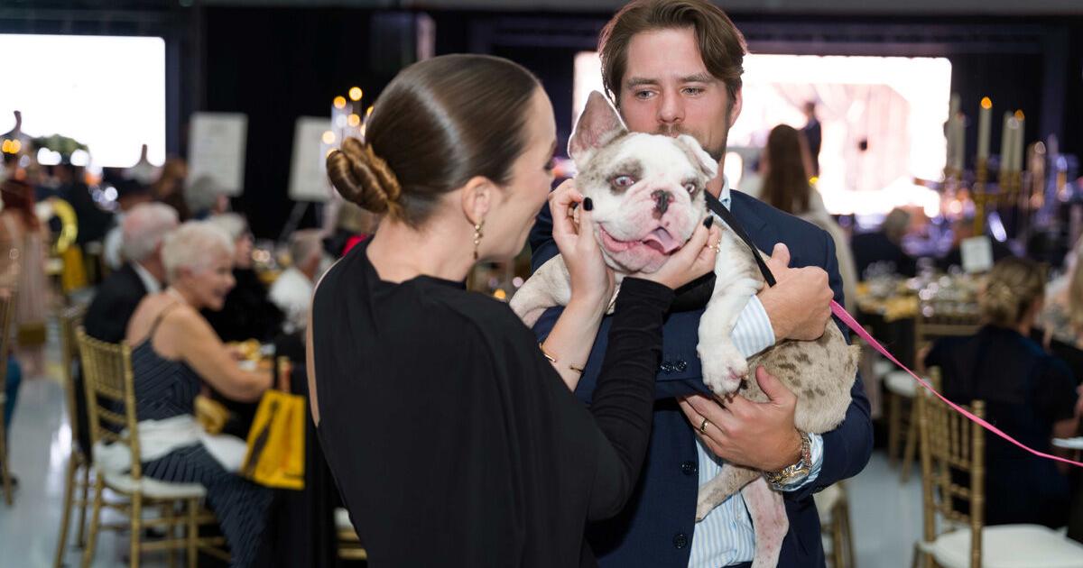 Humane Society Naples sets 2027 Pet Lovers Gala