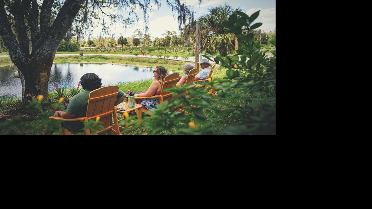 RAD Winery Estero 1