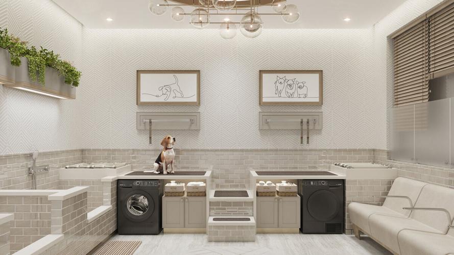 Pet spa adds to luxury amenities