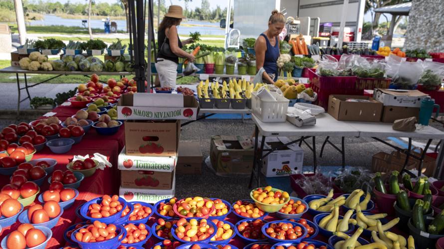 Lakes Park Farmer's Market6876.jpg