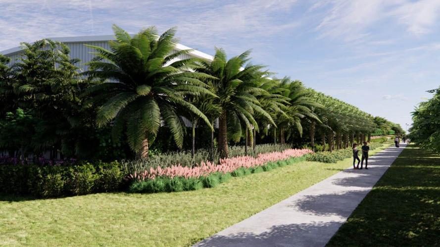Landscaping planned around Naples Airport hangars