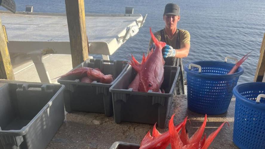 Fresh catch arrives for Leroy’s Fish Shack