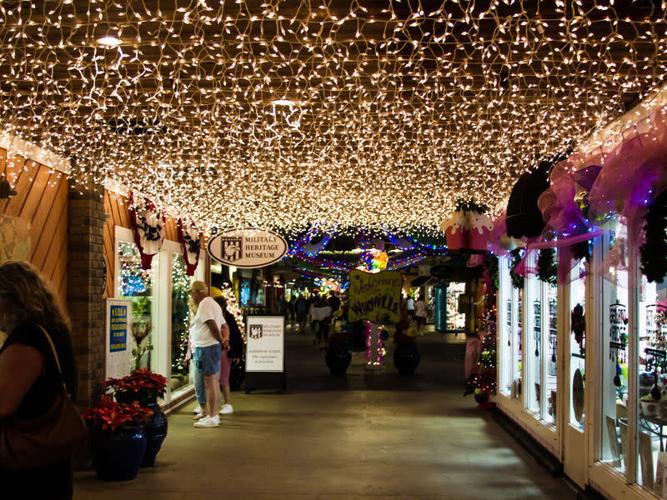 Fishville lights.jpg