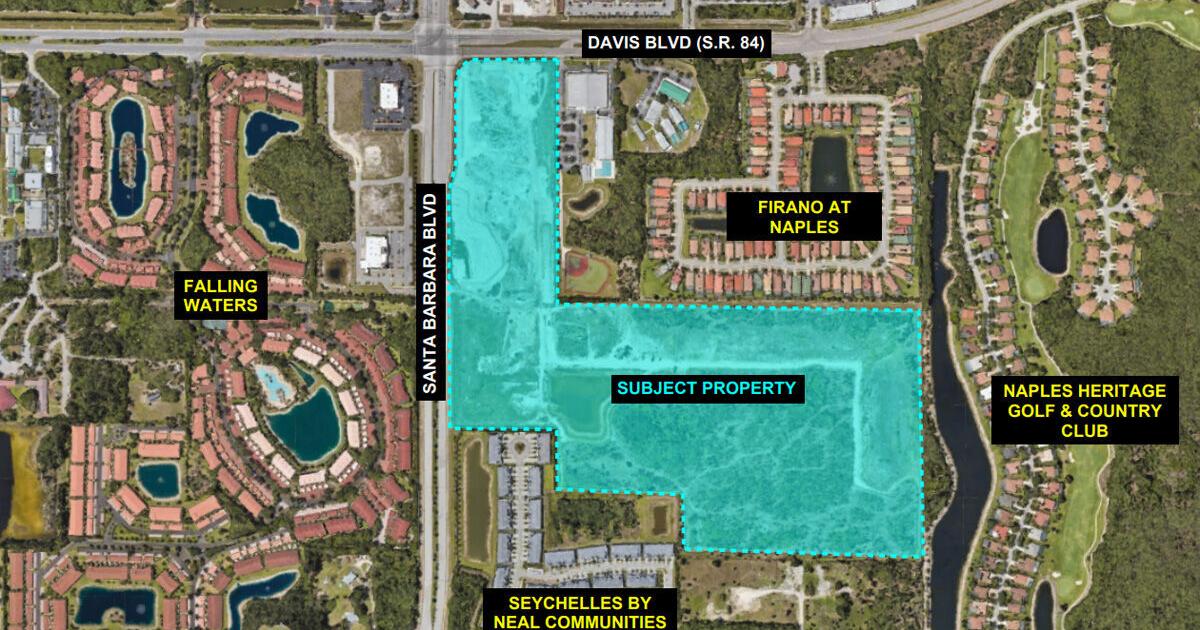 Whole Foods, Wawa and more planned in East Naples